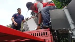 Telkomsel Regional Sulawesi Catat Lonjakan Trafik 16,55 Persen