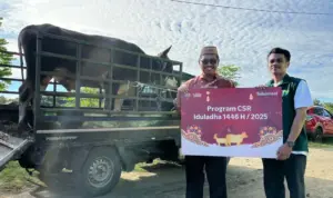 Telkomsel Distribusi Hewan Kurban ke 600 Titik di Seluruh Indonesia