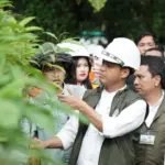 Menhut RI, Raja Juli Antoni memperhatikan salah satu tanaman di Nursery modern PT Vale Indonesia di Sorowako, Jumat (13/6/2025). (Foto: PT Vale Indonesia)