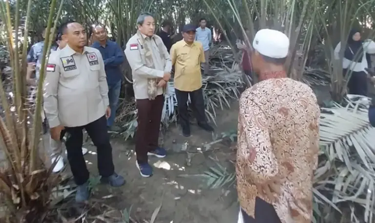 Tim Ahli Indikasi Geografis Direktorat Jenderal Kekayaan Intelektual meninjau langsung perkebunan salak pondoh SImpang Raya di Banggai. (Foto: Kemenkum Sulteng)