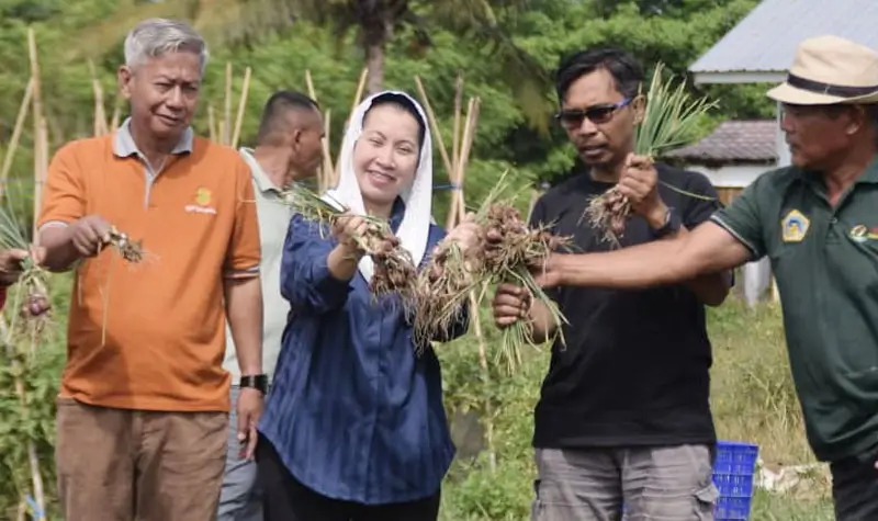 Wawali Imelda memanen bawang merah di Petobo, Jumat (22/8/2025). (©Prokopim Setda Kota Palu/Imron)