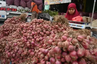 Pedagang menimbang bawang merah pesanan pembeli di Pasar Induk Manonda, Palu, Sulawesi Tengah, Rabu (3/9/2025). Setelah sempat mengalami kenaikan, harga komoditas itu kembali stabil di kisaran antara Rp40 ribu hingga Rp50 ribu per kilogram setelah pasokan dari sentra produksi bawang merah baik lokal maupun antarpulau lancar kembali. bmzIMAGES/Basri Marzuki