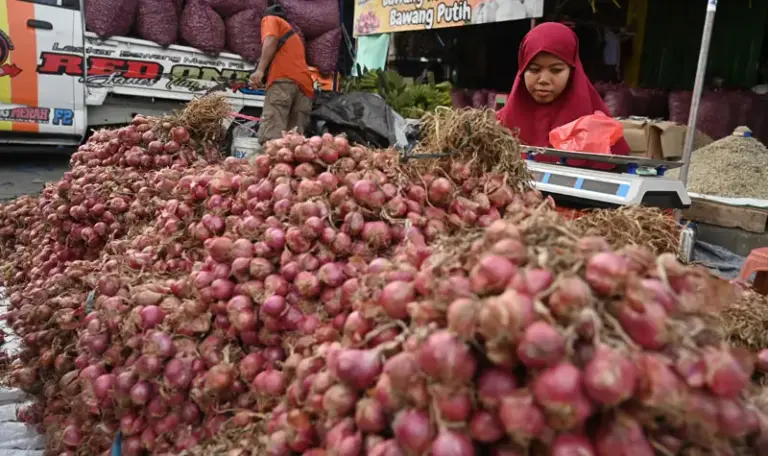Pedagang menimbang bawang merah pesanan pembeli di Pasar Induk Manonda, Palu, Sulawesi Tengah, Rabu (3/9/2025). Setelah sempat mengalami kenaikan, harga komoditas itu kembali stabil di kisaran antara Rp40 ribu hingga Rp50 ribu per kilogram setelah pasokan dari sentra produksi bawang merah baik lokal maupun antarpulau lancar kembali. bmzIMAGES/Basri Marzuki