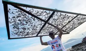 Penjemuran Ikan Terkendala Cuaca