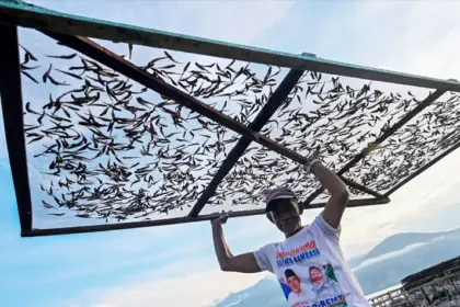 Pekerja mengumpulkan ikan kering jenis teri setelah dijemur di Kelurahan Mambor Barat, Palu, Sulawesi Tengah, Rabu (17/9/2025). Intensitas hujan yang cukup sering di wilayah itu membuat pengeringan ikan terhambat dan mengkerek harganya dari rata-rata Rp40 ribu per kilogram menjadi Rp50 ribu per kilogram. bmzIMAGES/Basri Marzuki