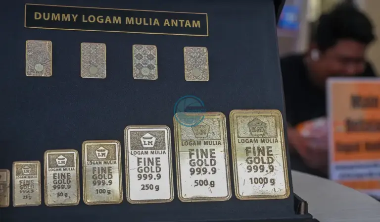 OJK Sulteng Gelar Puncak Bulan Inklusi Keuangan, Dorong Pemerataan Akses Layanan Keuangan