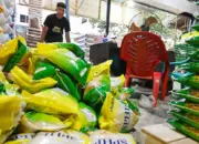 Bulog Sulteng Siap Salurkan Bantuan Pangan, Tunggu Data Penerima dari Daerah