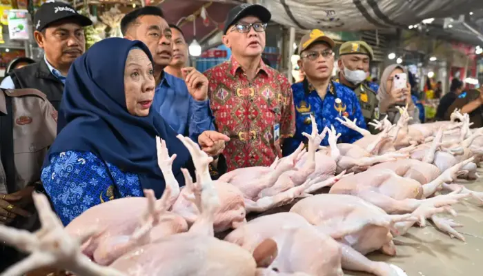 Harga Daging Naik, Wagub Sulteng Sidak Pasar dan Gudang Bulog