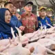 Harga Daging Naik, Wagub Sulteng Sidak Pasar dan Gudang Bulog
