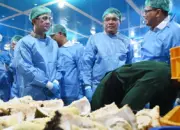 Barantin: Sulteng Targetkan Ekspor Durian Rp750 Miliar pada 2026