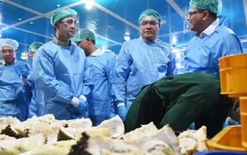 Barantin: Sulteng Targetkan Ekspor Durian Rp750 Miliar pada 2026