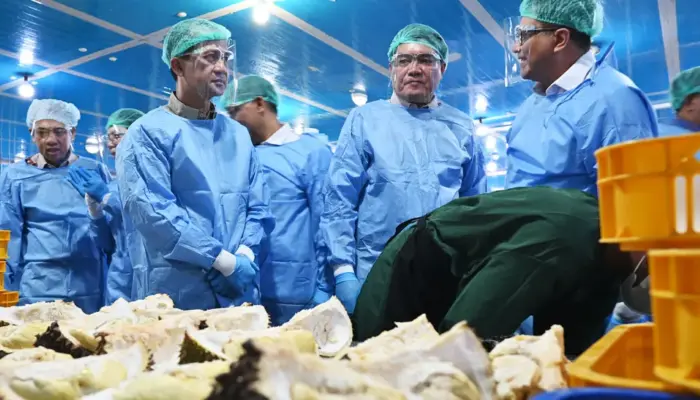 Barantin: Sulteng Targetkan Ekspor Durian Rp750 Miliar pada 2026