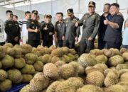 Kepala Badan Karantina Indonesia Sahat M Panggabean (keempat kanan) saat kunjungan persiapan ekspor durian Indonesia ke Tiongkok di Palu, Rabu. (15/4/2026). (©ANTARA/ Kristina Natalia)