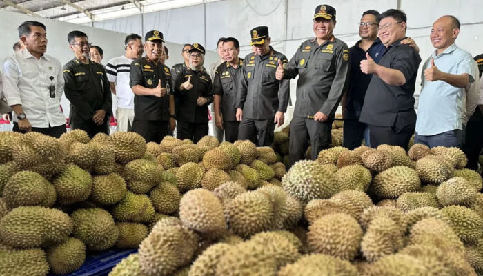 Badan Karantina Indonesia Tinjau Persiapan Ekspor Durian ke Tiongkok